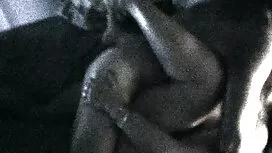 若い女性を見る アダルト 動画 女性 の ...